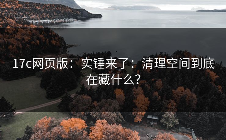 17c网页版：实锤来了：清理空间到底在藏什么？